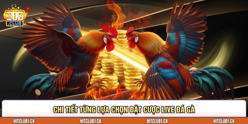 Chi tiết từng lựa chọn đặt cược Live đá gà